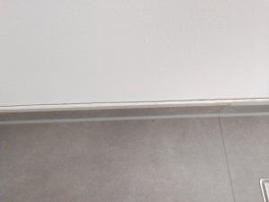 IMG_20200729_122952.jpg