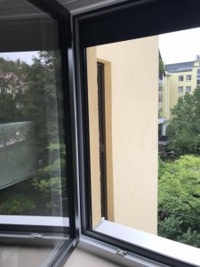 IMG_5214.jpeg