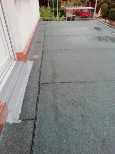 IMG_20200825_200908.jpg