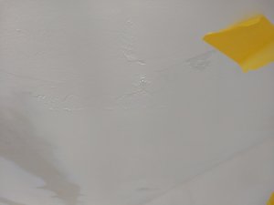 IMG_20200903_081607.jpg