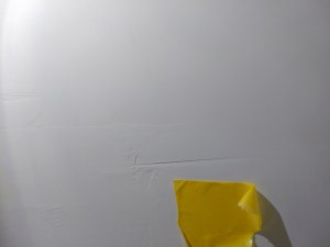 IMG_20200903_081715.jpg