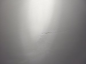 IMG_20200903_085810.jpg