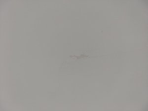 IMG_20200903_090239.jpg