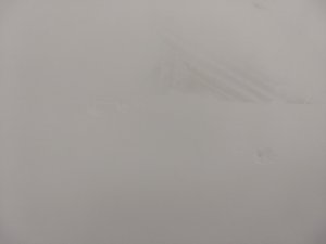 IMG_20200903_090425.jpg