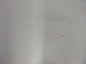 IMG_20200903_090418.jpg