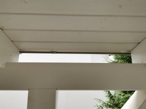 IMG_20200901_173642.jpg