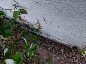 Sockel_Rückwand_außen.jpg
