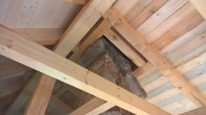 WP_20200910_16_39_02_Pro.jpg