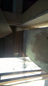 WP_20200910_16_39_19_Pro.jpg