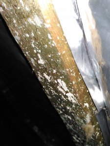 IMG_20200914_225731.jpg