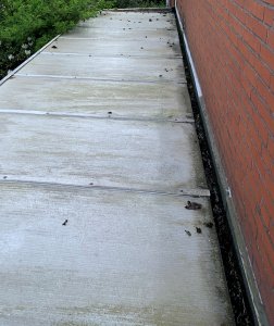 IMG_0697.jpg