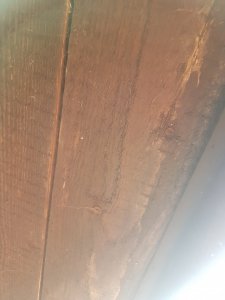 20200916_180315.jpg