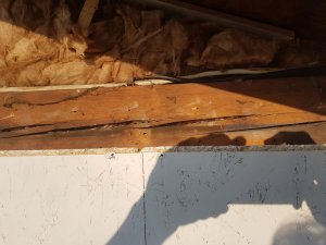 20200916_180143.jpg