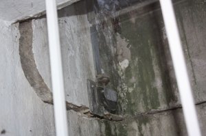 IMG_4056.JPG