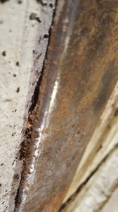 20200907_175017.jpg