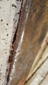 20200907_175011.jpg