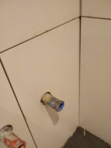 IMG_20200924_191620039.jpg