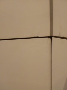 IMG_20200924_191017613.jpg