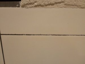 IMG_20200924_191126538.jpg