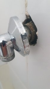 20200927_153018.jpg