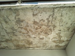 20200927_175217.jpg