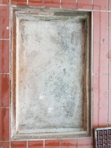 20200929_125915.jpg