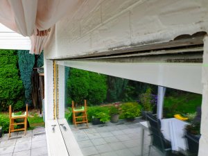 20201004_122449.jpg