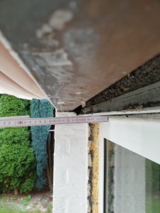 20201004_165733.jpg
