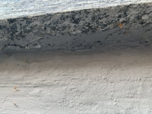 F9DC2CCC-7D19-4EC3-AF17-4A771701A1BD.jpeg