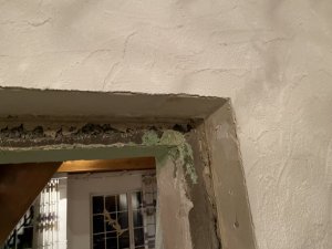IMG_7698.jpg