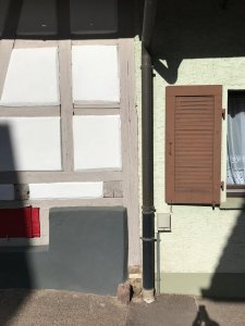 IMG_5239.jpg