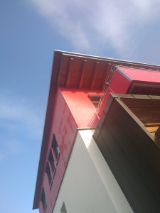 IMG_20201011_100005.jpg