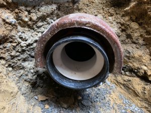 IMG_0482 (Mittel).JPEG