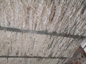 IMG_20191029_130717.jpg