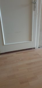 20201029_161124.jpg