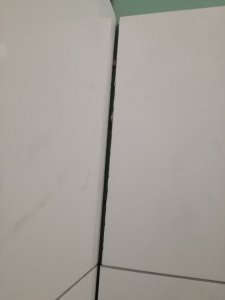 IMG_20201029_154125.jpg