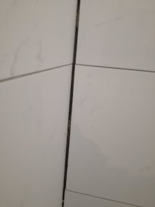 IMG_20201029_172609.jpg