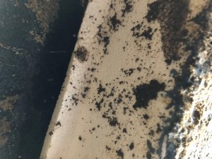 Dämmung von Unten.jpg