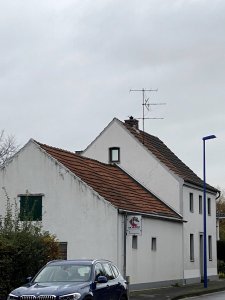 IMG_1198.jpg