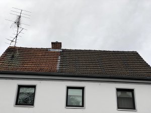 IMG_1195.jpg