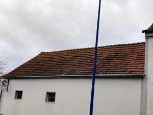IMG_1196.jpg