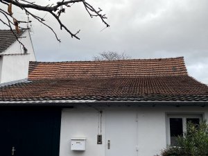 IMG_1190.jpg