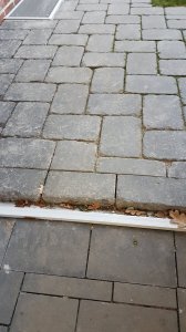 20201102_163838.jpg
