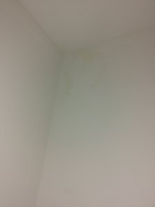 20200907_184736.jpg