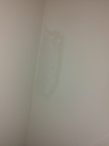 20200907_184742.jpg