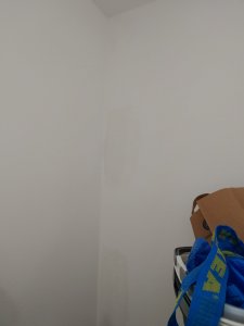 20200908_082549.jpg