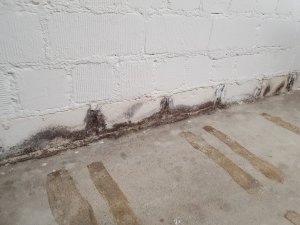 20201105_162931.jpg