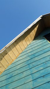 20201107_121438.jpg