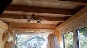 20201107_121732.jpg