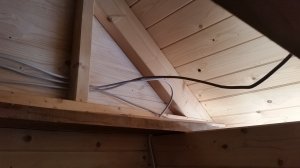 20201107_121753.jpg